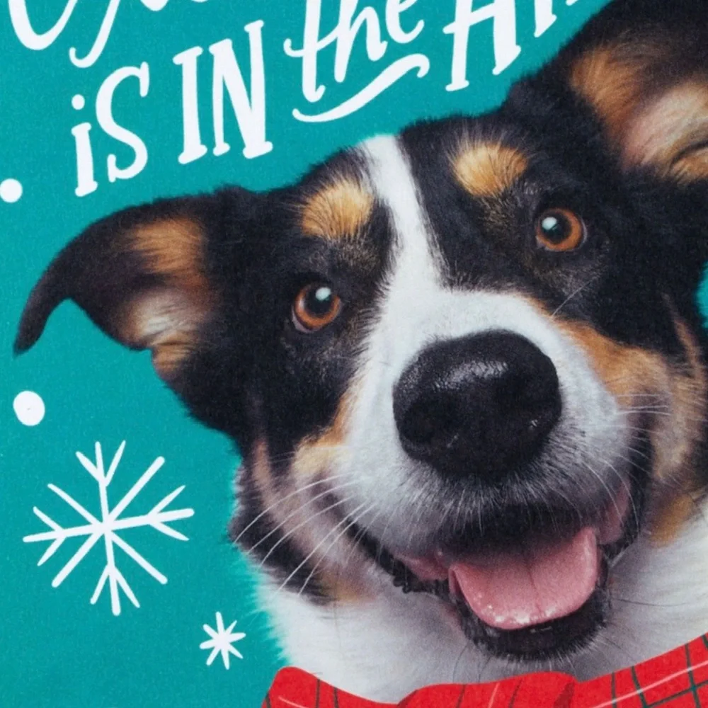 Hallmark “Christmas Excitement is in the Air!” Boxed Christmas Cards, Pack of 16